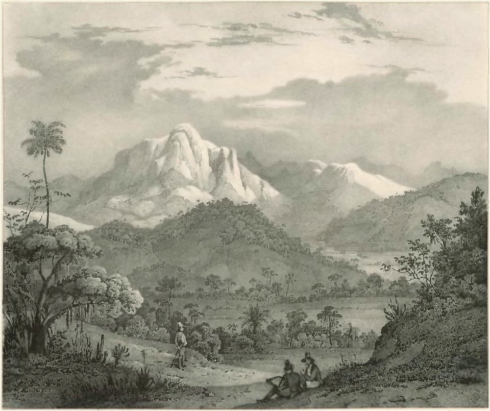 Rugendas - Voyage pittoresque dans le Brésil, fascicule 3, trad Golbéry, 1827 (page 19 crop)