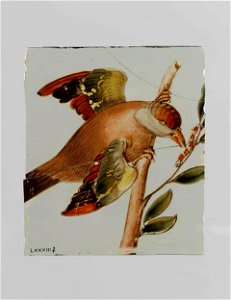 Ruit met een vogel die naar een rups pikt op een tak