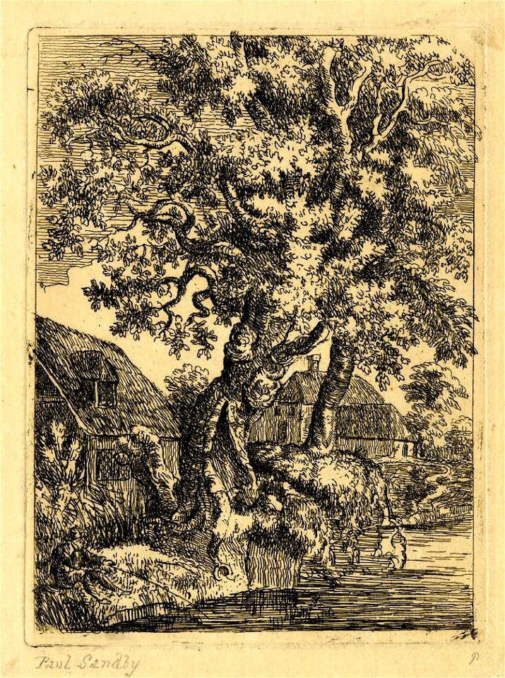 Rural landscape with ancient tree by Paul Sandby