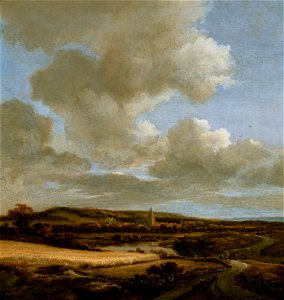 Jacob van Ruisdael - Landscape with Cornfield