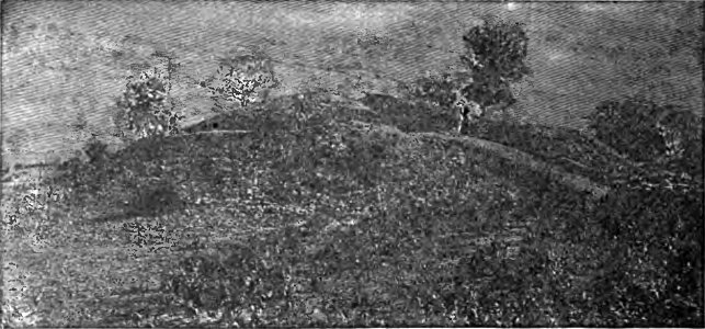 Ruins of the Sakiya Tope - Page 302 - History of India Vol 1 (1906)
