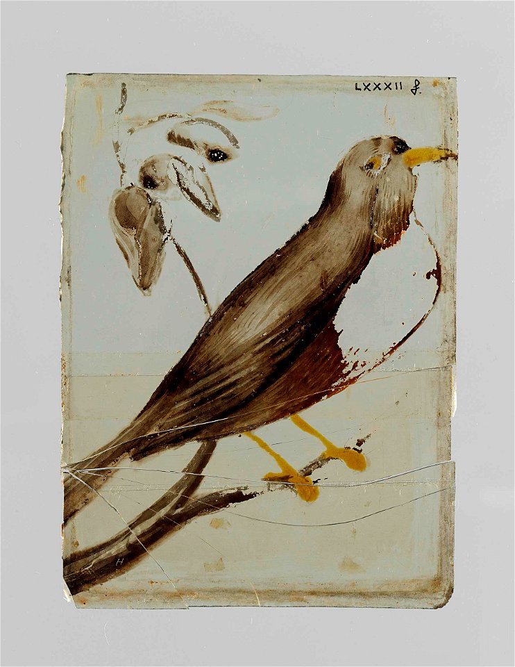 Ruit met een vogel op een tak