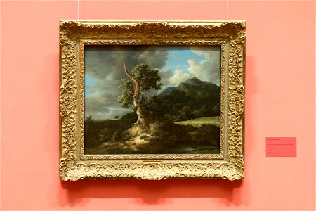 Jacob van Ruysdael - Landscape with Blasted Oak - Fjellandskap med gammelt eiketre ved en kornåker - IMG 9626-nasjonalmuseet oslo