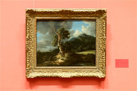 Jacob van Ruysdael - Landscape with Blasted Oak - Fjellandskap med gammelt eiketre ved en kornåker - IMG 9626-nasjonalmuseet oslo. Free illustration for personal and commercial use.