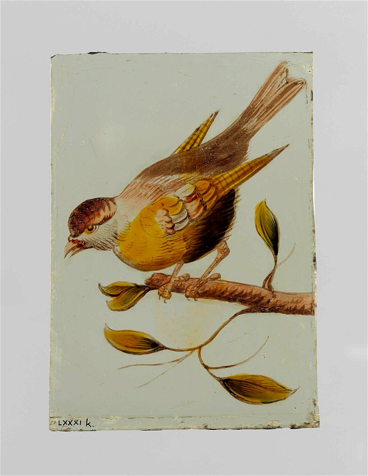 Ruit met een vogel