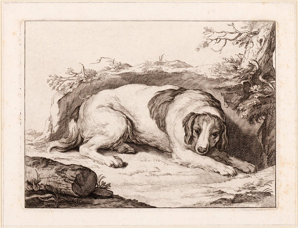 Rustende hond, objectnr A 16612