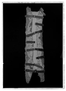 Ryggstycke med svansrem - Livrustkammaren - 18573-negative