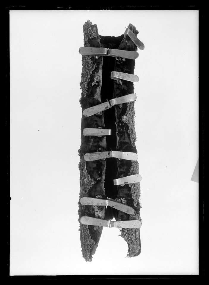 Ryggstycke med svansrem - Livrustkammaren - 18573