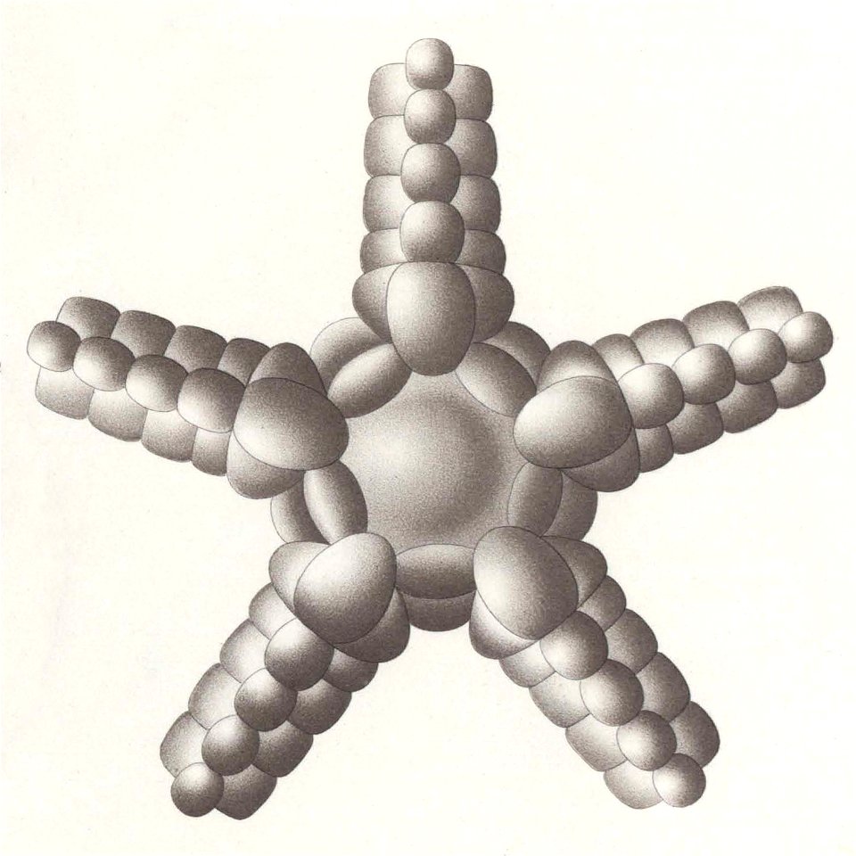 Résultats du voyage du S.Y. Belgica en 1897-1898-1899. Zoologie - Échinides et ophiures (1902) planche 4 fig 28