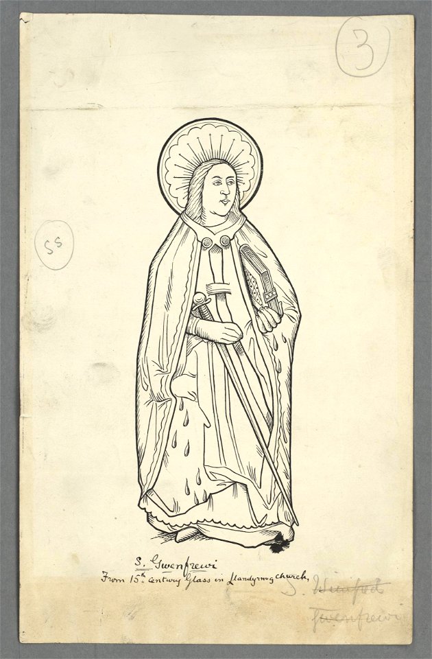 S. Gwenfrewi (5292114)