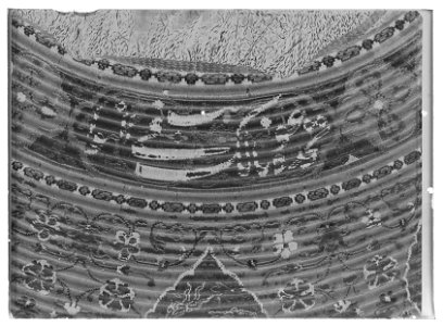 Rörsköld, kalkan, Persien-Istambul ca 1550-1600 - Livrustkammaren - 60811-negative
