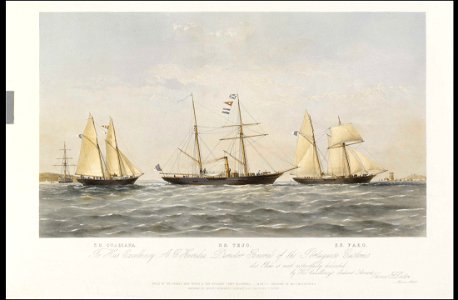 S.S. Guardiana, S.S. Tejo, S.S. Faro - built by the Thames Iron Works - 1878 - RMG PY5282