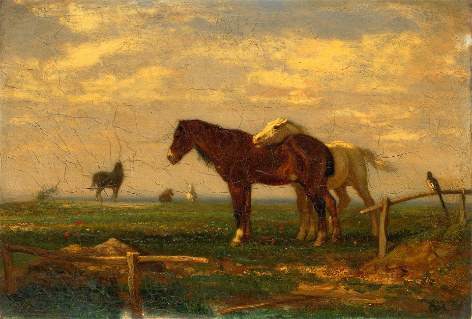 SA 1766-Een wei met paarden