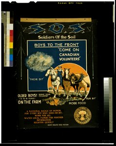 S.O.S. Soldiers of the Soil - boys to the front LCCN2005696906