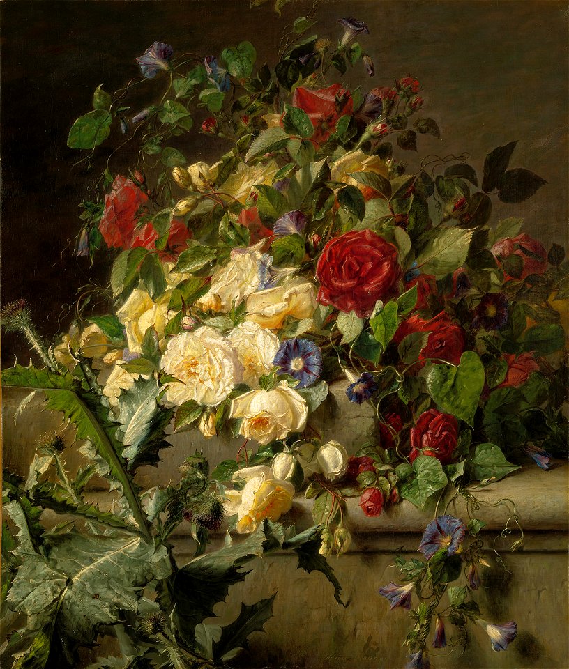 SA 783-Bloeiende rozen over een oude balustrade