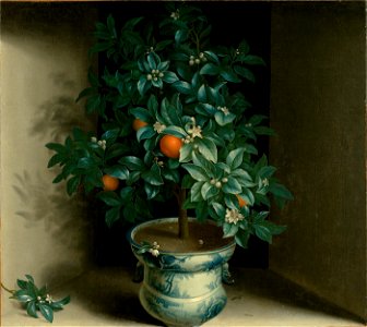 SA 684-Oranjeboompje in porseleinen vaas