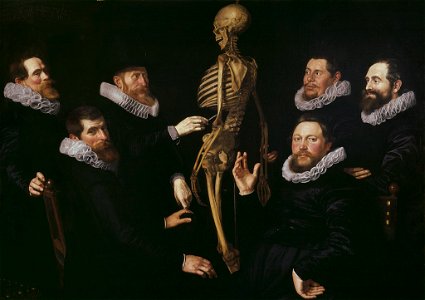 SA 7352-De osteologieles van Dr. Sebastiaen Egbertsz.-Anatomische les van Dr. Sebastiaen Egbertsz. de Vrij