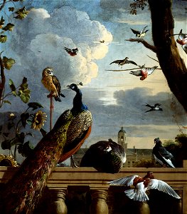 SA 35912-Vogels bij een balustrade met in de achtergrond het Stadhuis