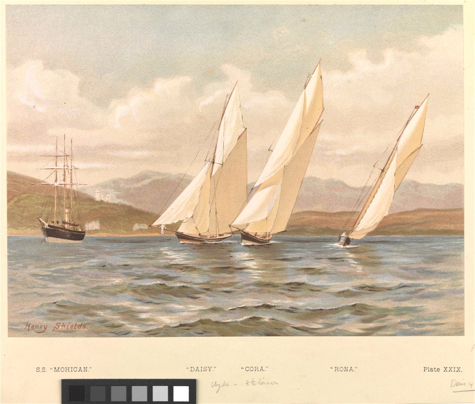 S.S. Mohican Daisy Cora Rona RMG PU6603