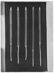 Sadelgjord - Livrustkammaren - 34295-negative