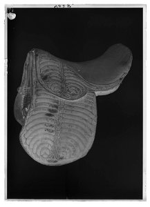 Sadel, engelsk - Livrustkammaren - 703-negative