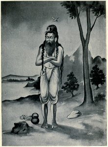 Sage Jajali's austerities