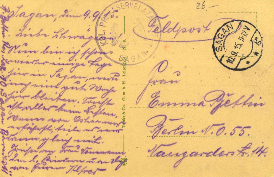 Sagan, Schlesien - Kaiser-Wilhelm-Brücke und Stadt (back) (Zeno Ansichtskarten)