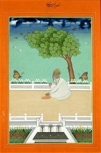 Saint Mahboob Shah on a terrace with two butterflies (6124550641)