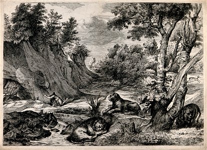 Saint Jerome. Etching by V. Denon, 1791, after Titian. (Wellcome collection)