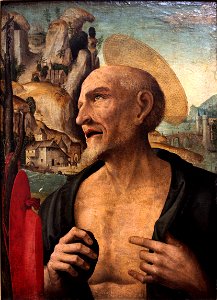 Saint Jerome penitent-Giovanni Francesco Maineri-MBA Lyon X786a-IMG 0300