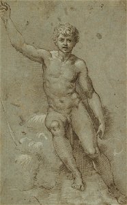 Saint John in the Wilderness - drawing by Giovanni Francesco Penni (Scottish National Gallery)