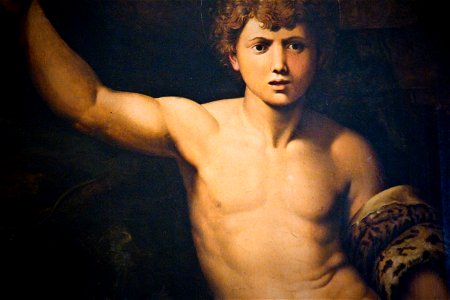 Saint John in the Desert - Bologna Pinacoteca Nazionale (Raphael) Detail 1