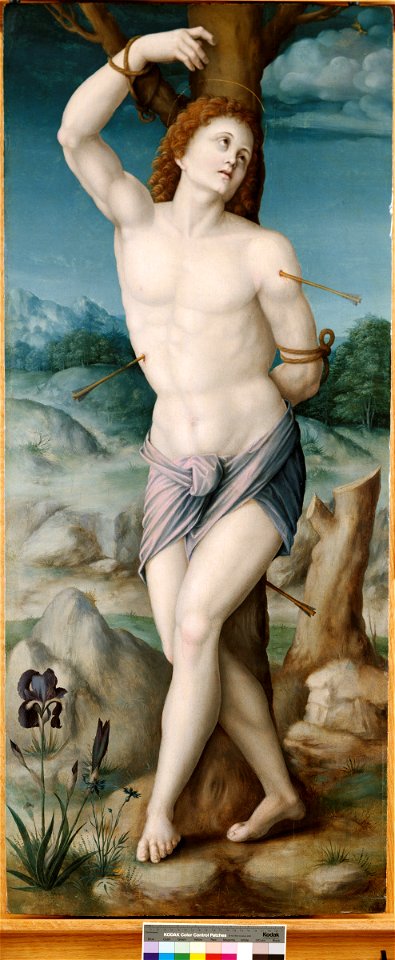 Saint Sebastian by Francesco Bacchiacca