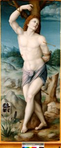 Saint Sebastian by Francesco Bacchiacca. Free illustration for personal and commercial use.