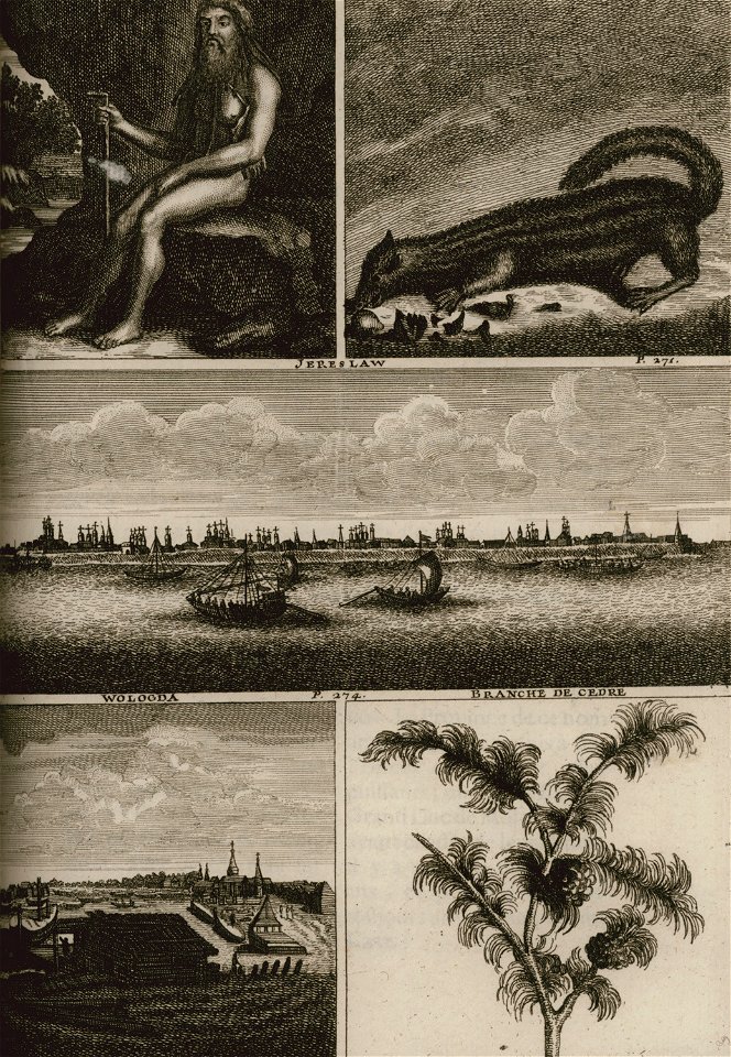 Saint Russien - Animal Born Doeskie - Jereslaw - Wologda - Branche de Cedre - Bruyn Cornelis De - 1725