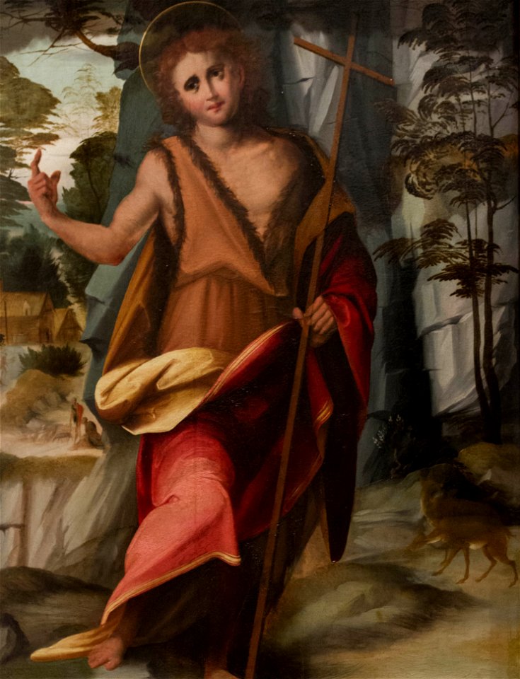 Saint Jean-Baptiste dans le désert