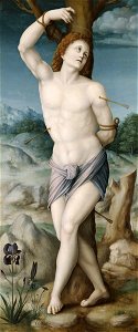Saint Sebastian by Bacchiacca - BMA. Free illustration for personal and commercial use.