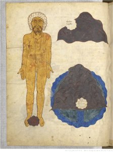 Saint-Sever Beatus f. 051v - 51v, Songe de Nabuchodonosor