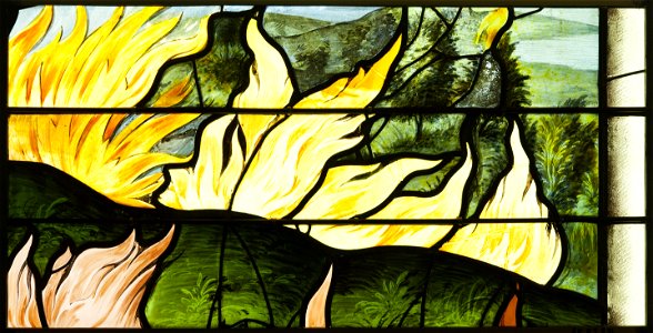 Saint-Chapelle de Vincennes - Baie 2 - Arbres en flammes (bgw17 0462)