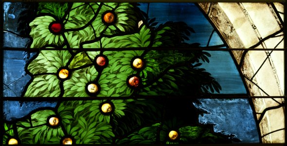Saint-Chapelle de Vincennes - Baie 4 - Arbre (bgw17 0522)