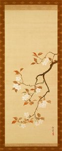 Sakai Hoitsu - Triptych of the Seasons, Cherry Blossoms - 82.30.3 - Detroit Institute of Arts