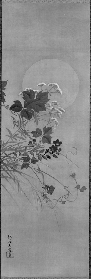 Sakai Hōitsu 酒井抱一 - Moon and Autumn Flowers - 1964.157 - Arthur M. Sackler Museum
