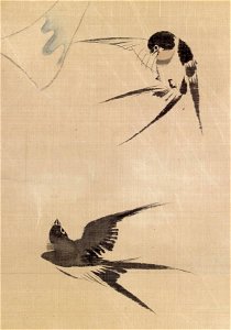Sakai Hoitsu - Two Swallows and Wind Bell - Walters 3572 - Detail A