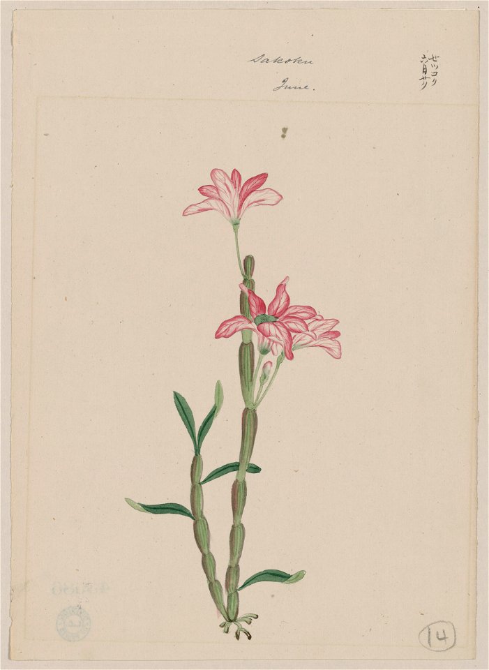 Sakoku - June LCCN2009630248