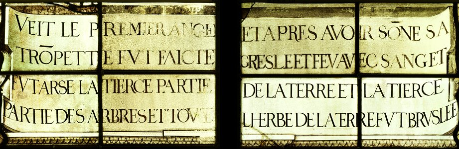 Saint-Chapelle de Vincennes - Baie 2 - Texte de la troisième vision de l'Apocalypse - l'incendie des arbres et des plantes (bgw17 0438)