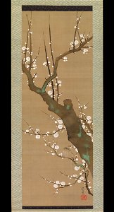 Sakai Hōitsu - Bush Warbler (Uguisu) in a Plum Tree - 2015.500.9.15 - Metropolitan Museum of Art