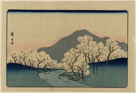 Sakura namiki zu LCCN2009615477