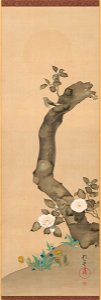Sakai Hōitsu 酒井抱一 - Birds and Flowers of the Twelve Months - TL42096.14 - Harvard Art Museums