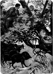 Salgari - La Città dell'Oro (page 153 crop)