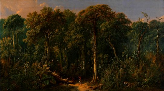 Raden Saleh - Javanese Jungle - 1985.66.328,264 - Smithsonian American Art Museum